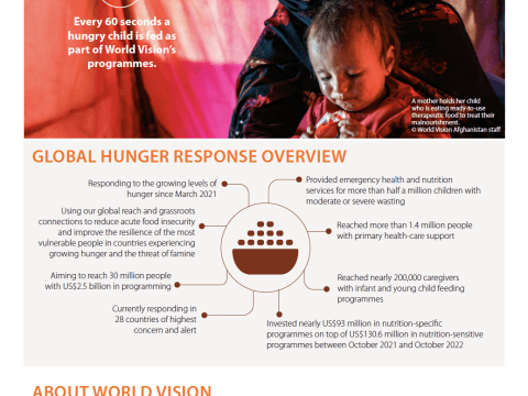 This is the first page of GHR's updated Health and Nutrition Capacity Statement, including information around interventions, experience, and donor and partners.